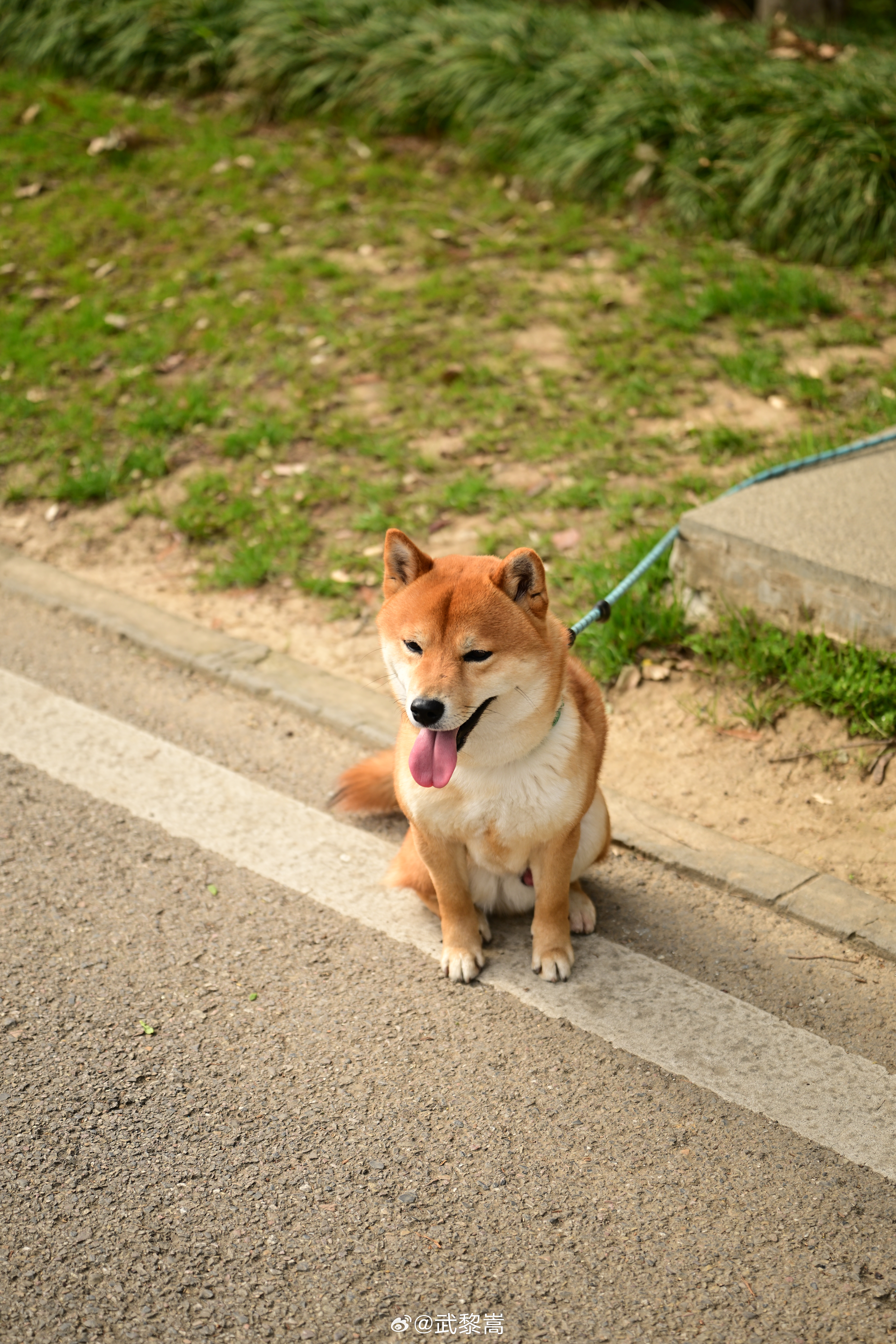 陌上花开缓缓归。。。 