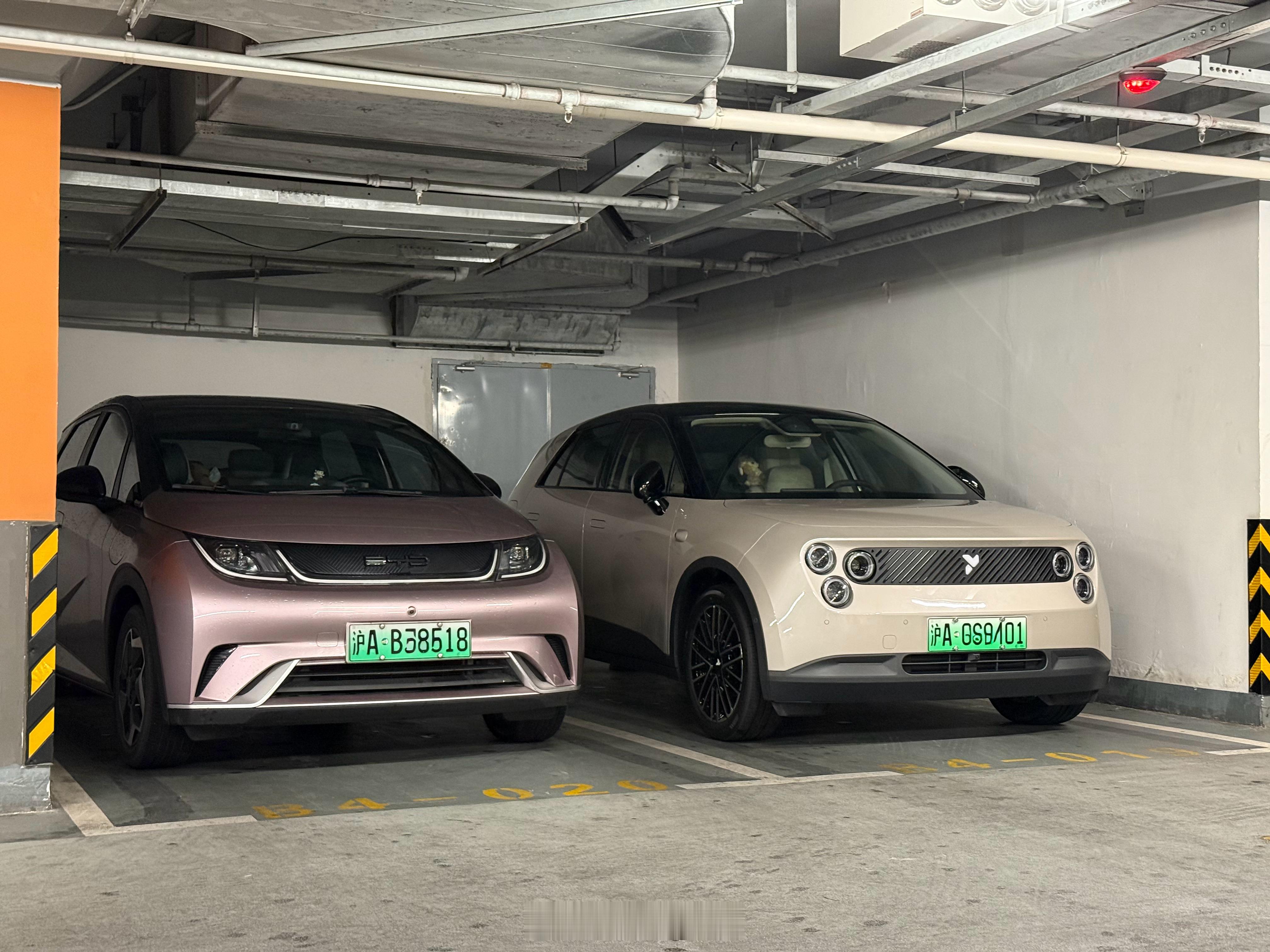 萤火虫 BaaS 之后（如果有）是不是和海豚差不多了，这俩车你会怎么选？新能源汽