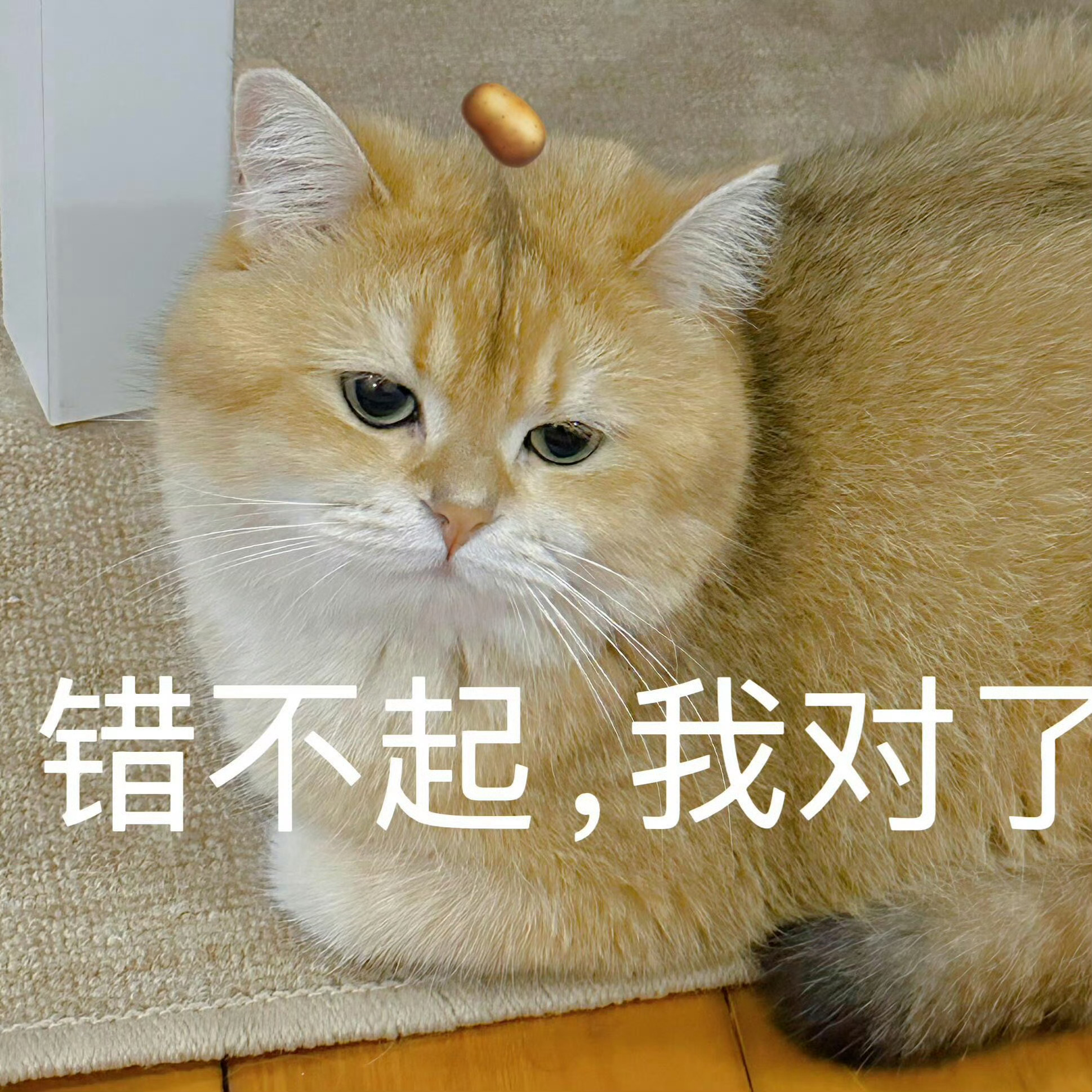 笑丝 本来根本不知道hyh的mms具体都有谁 但是现在顺着工作室评论区 发现点不