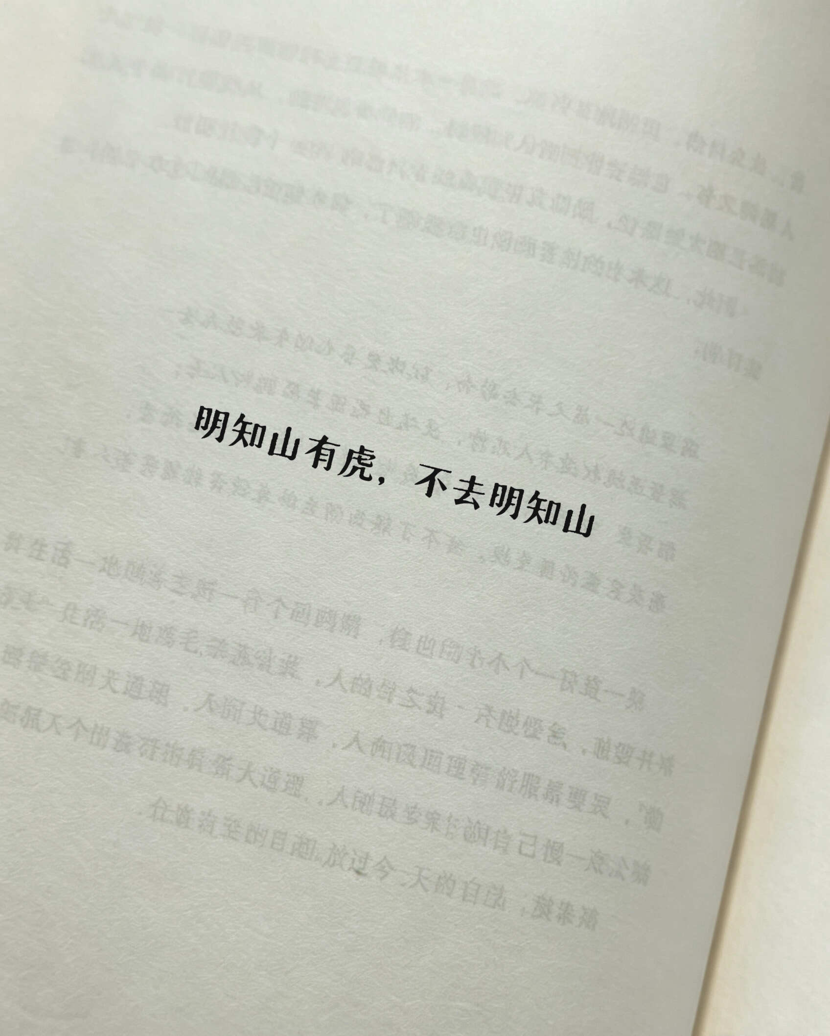 这种淡淡抽象疯感文案后劲好大 