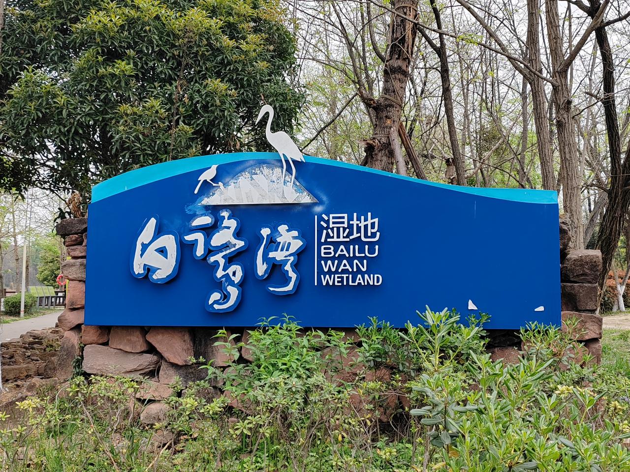 周末去打卡了白鹭湾湿地公园，真真切切被自然之美深深吸引！一踏入公园，入目皆是蓊郁