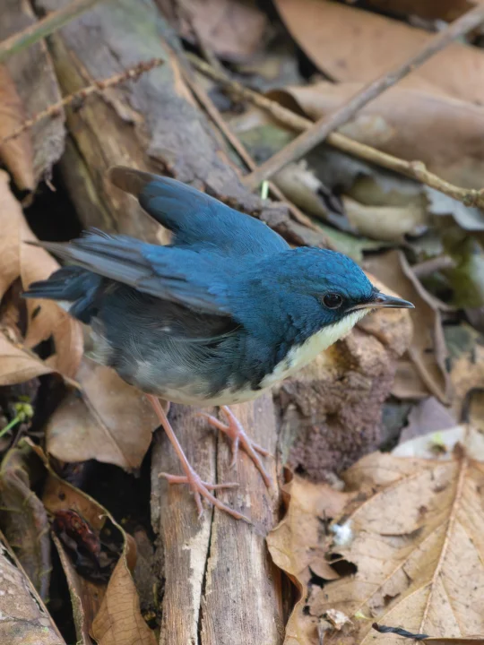 小飞机和它的停机坪