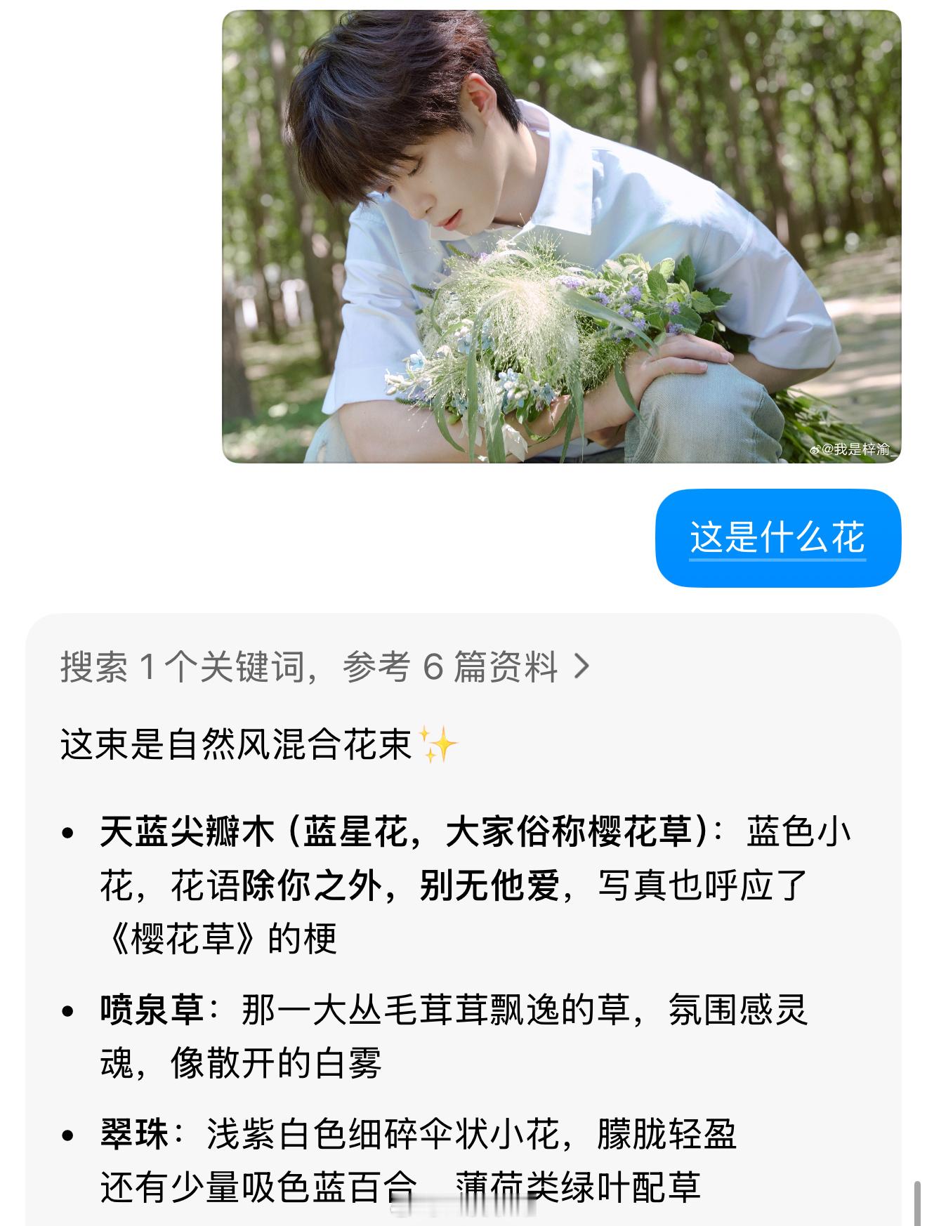 又是恋人怀中樱花草[可怜] ​​​