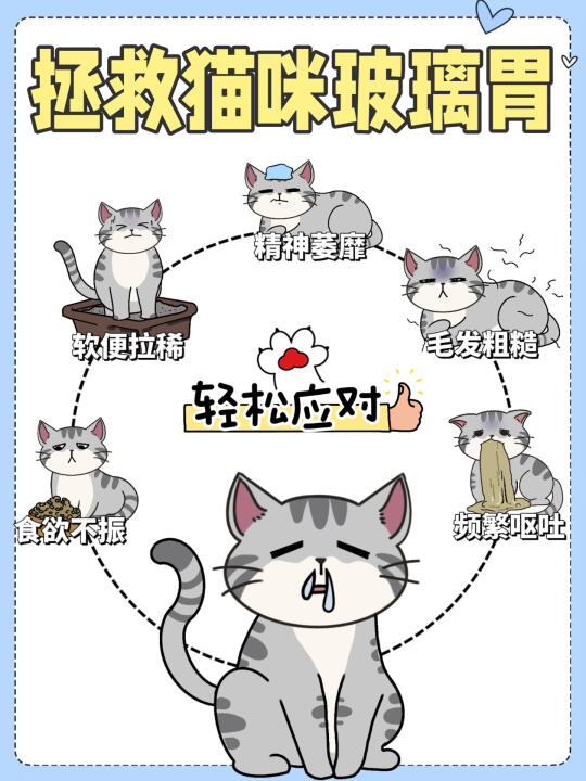 拯救猫咪玻璃胃‼新手必看&选粮攻略