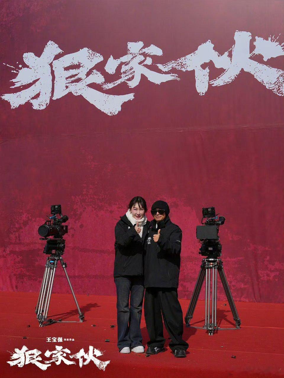 王宝强执导首部东方黑帮传奇 王晶原立项打底，宝强接手打磨注入新创作理念，唐人街生