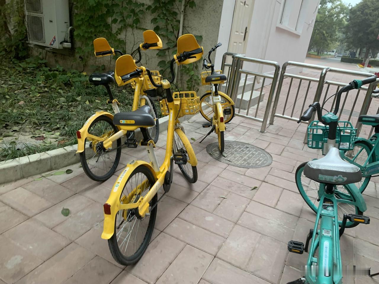 小黄车戴“手套”了！这波操作暖哭打工人

寒潮来袭，北风像小刀片似的往脸上刮。早