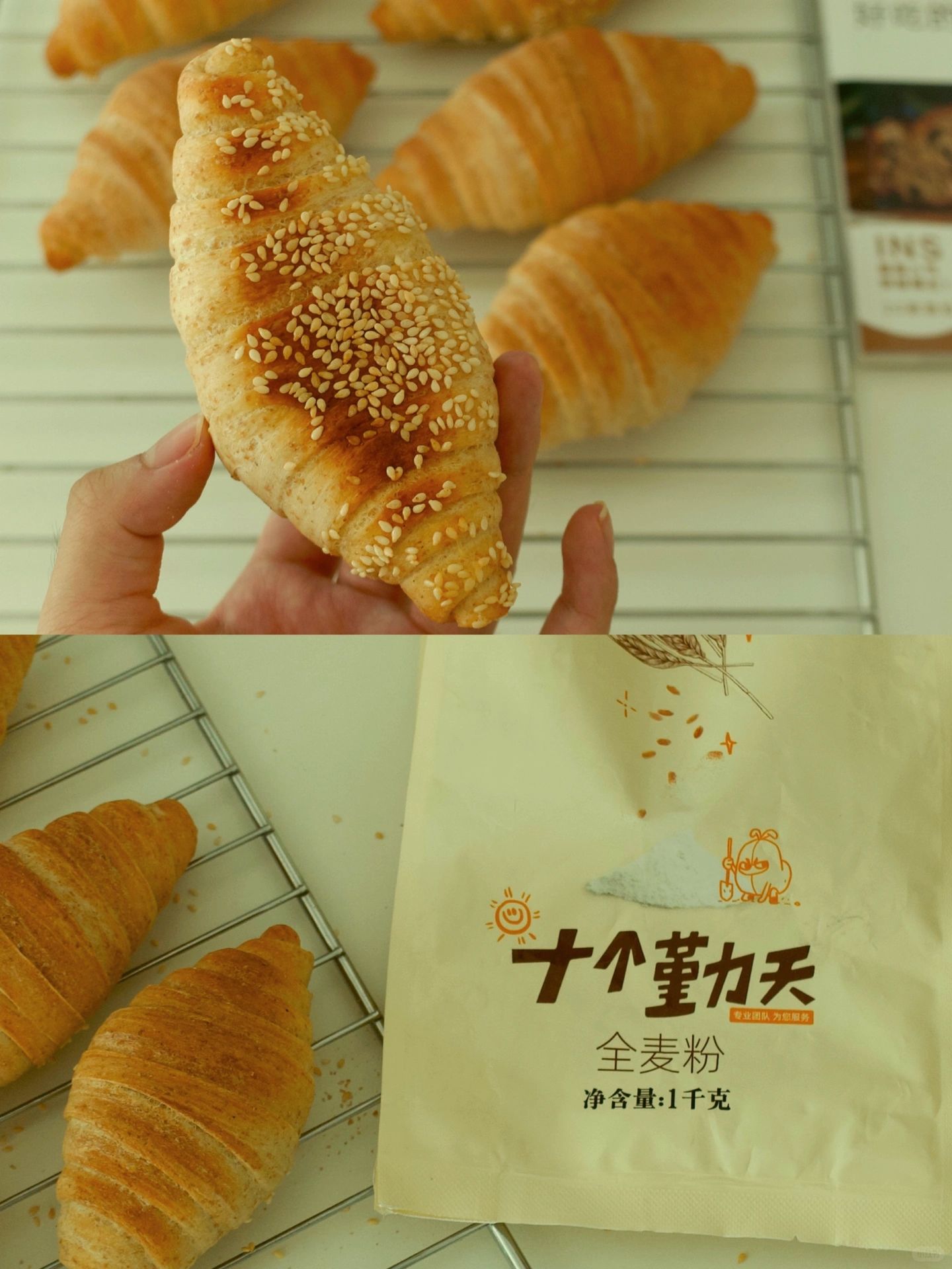 十个勤天全麦面粉交作业🥐少糖油全麦盐面包
