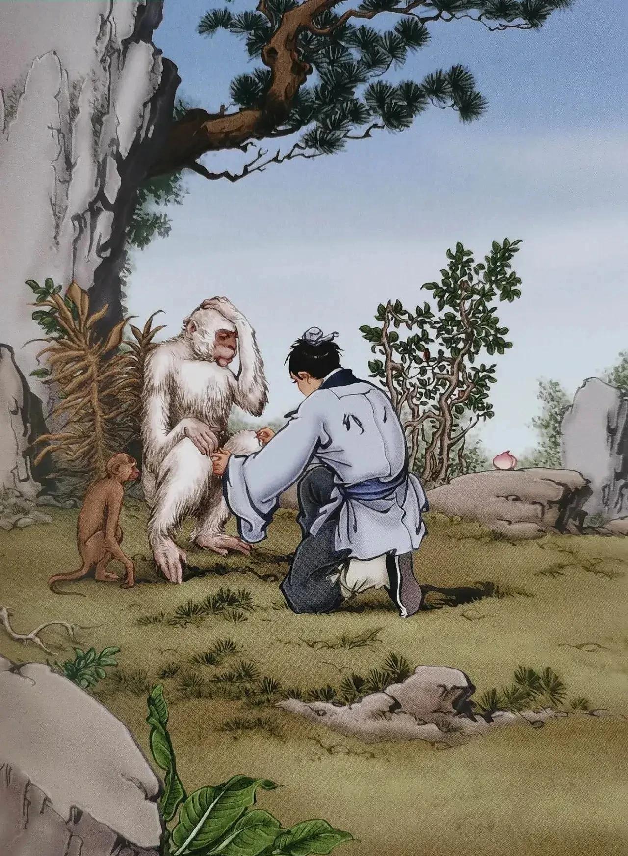 金庸武侠插画，看到这个图我就笑了，这是给怀孕白猿接生吗？