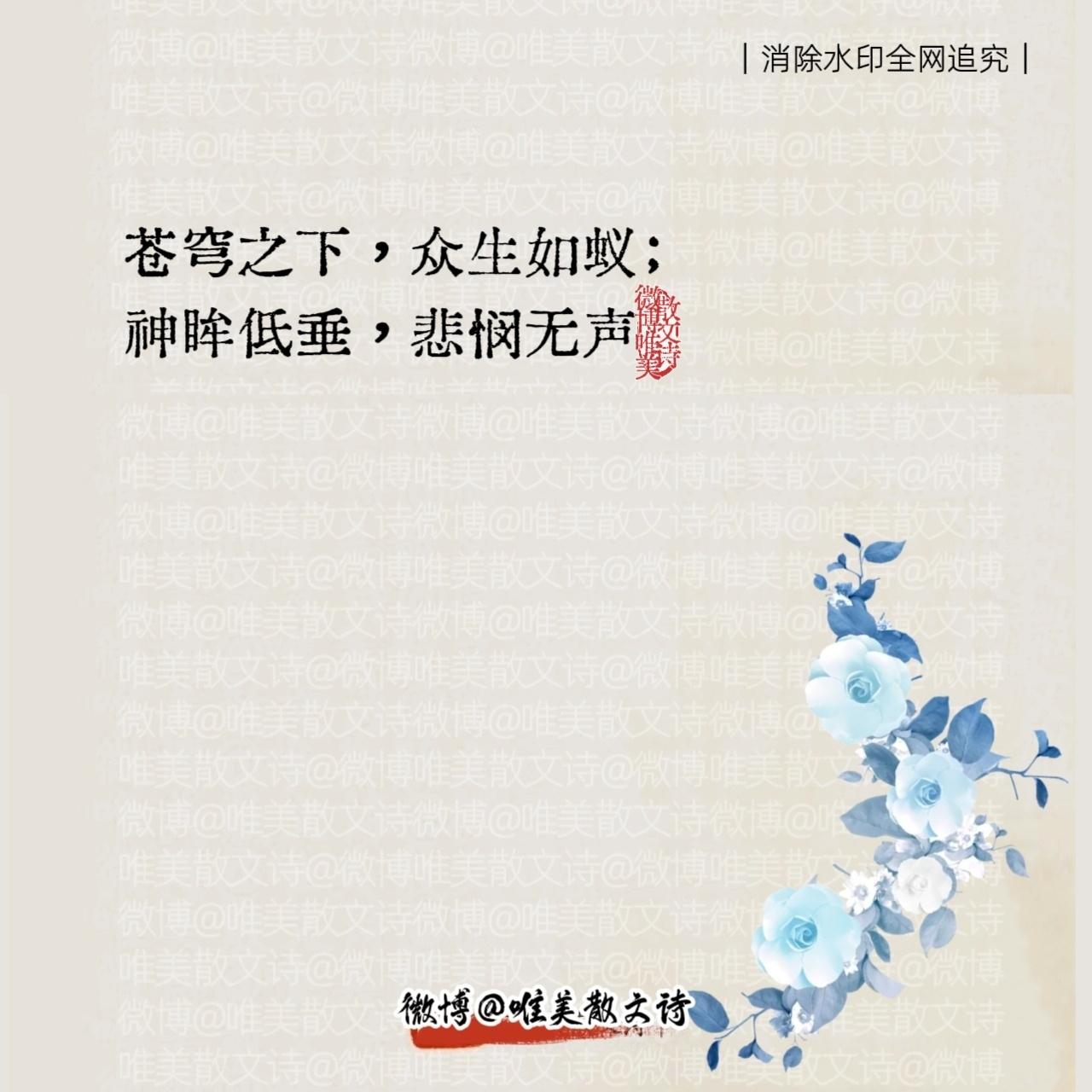 “天地浩渺，神目含悲的文案。” ​​​