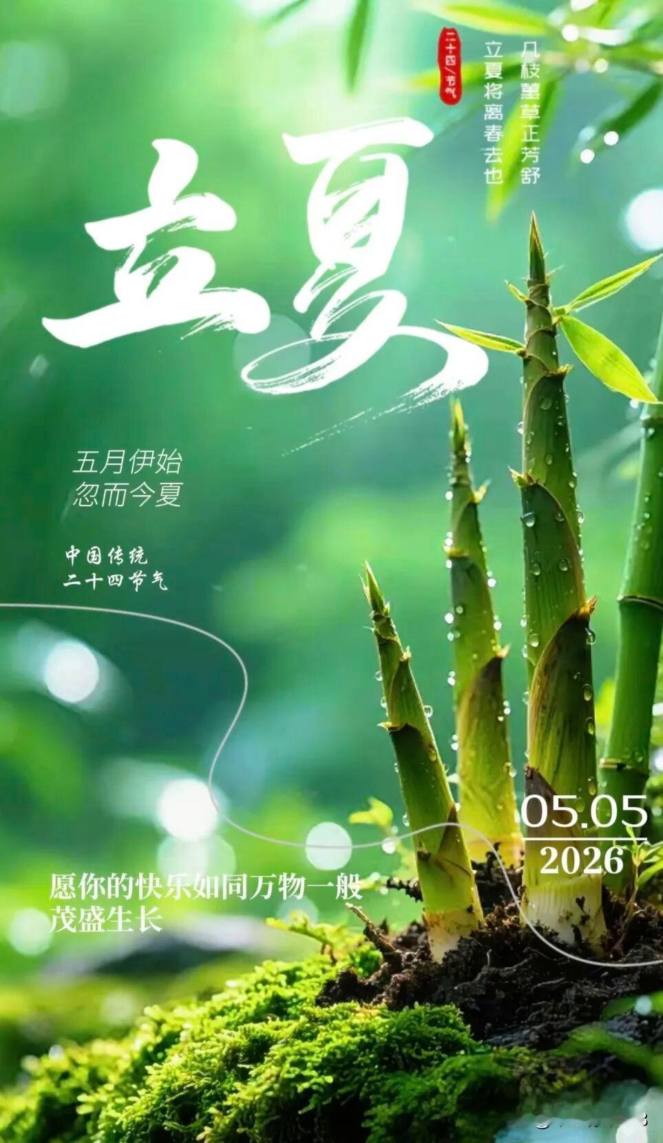 今日立夏，告别暮春，奔赴一夏美好
 
5月5日，立夏已至，愿大家立夏安康，清凉整