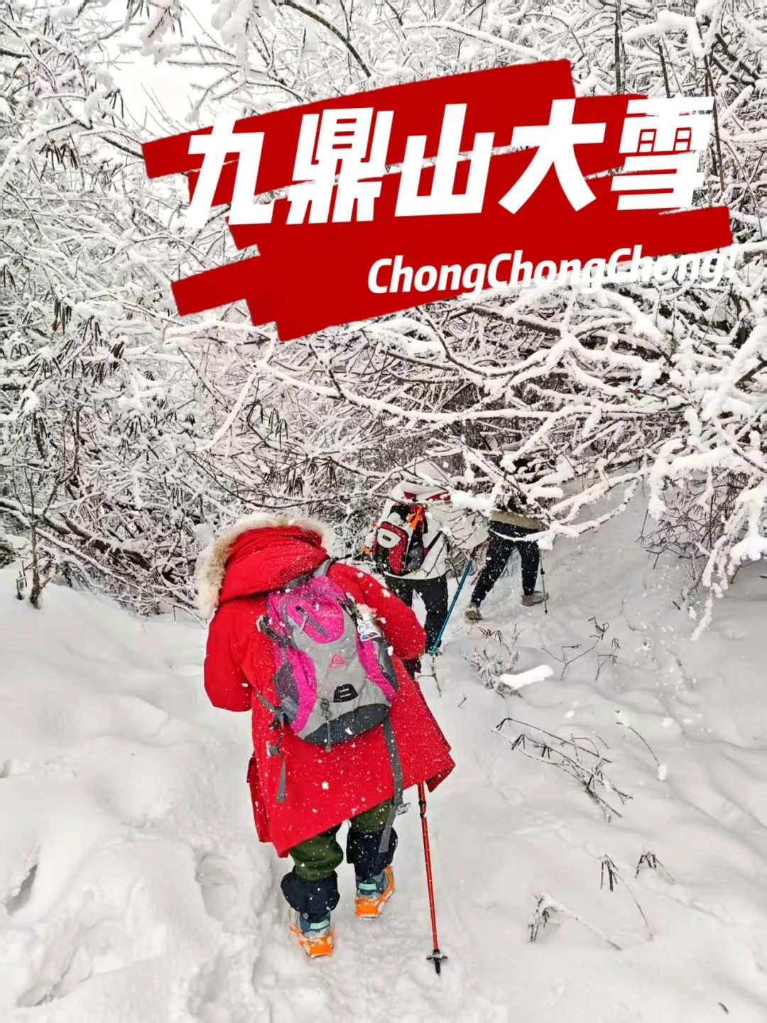 九鼎山｜成都2h直达，挖到野生雪国天花板