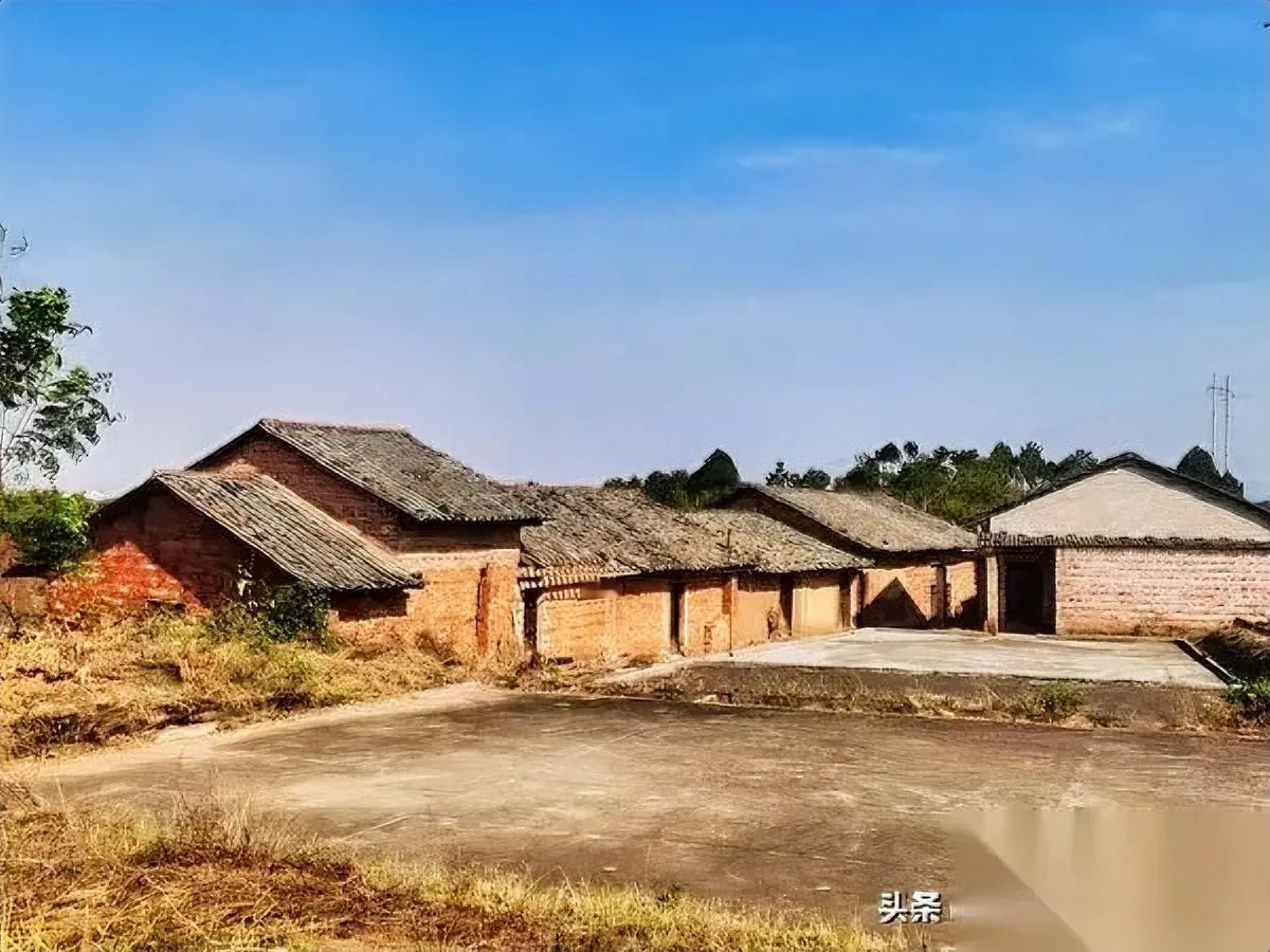 婆媳相处的秘诀？

就俩字——

别“较真”。

年轻时总揪着“她是不是真心待我