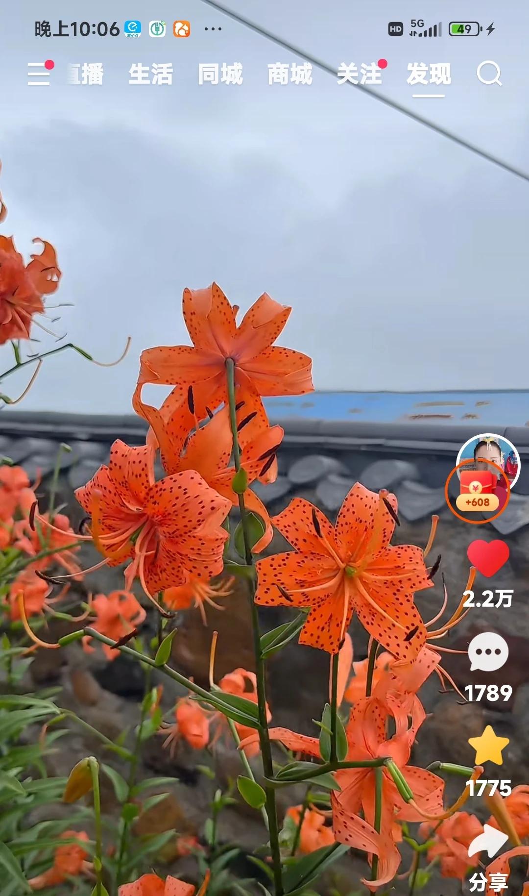 这里是吉林延边朝鲜族自治州的一个农家小院儿，哦，不能说小院儿，要说大院儿，北方农