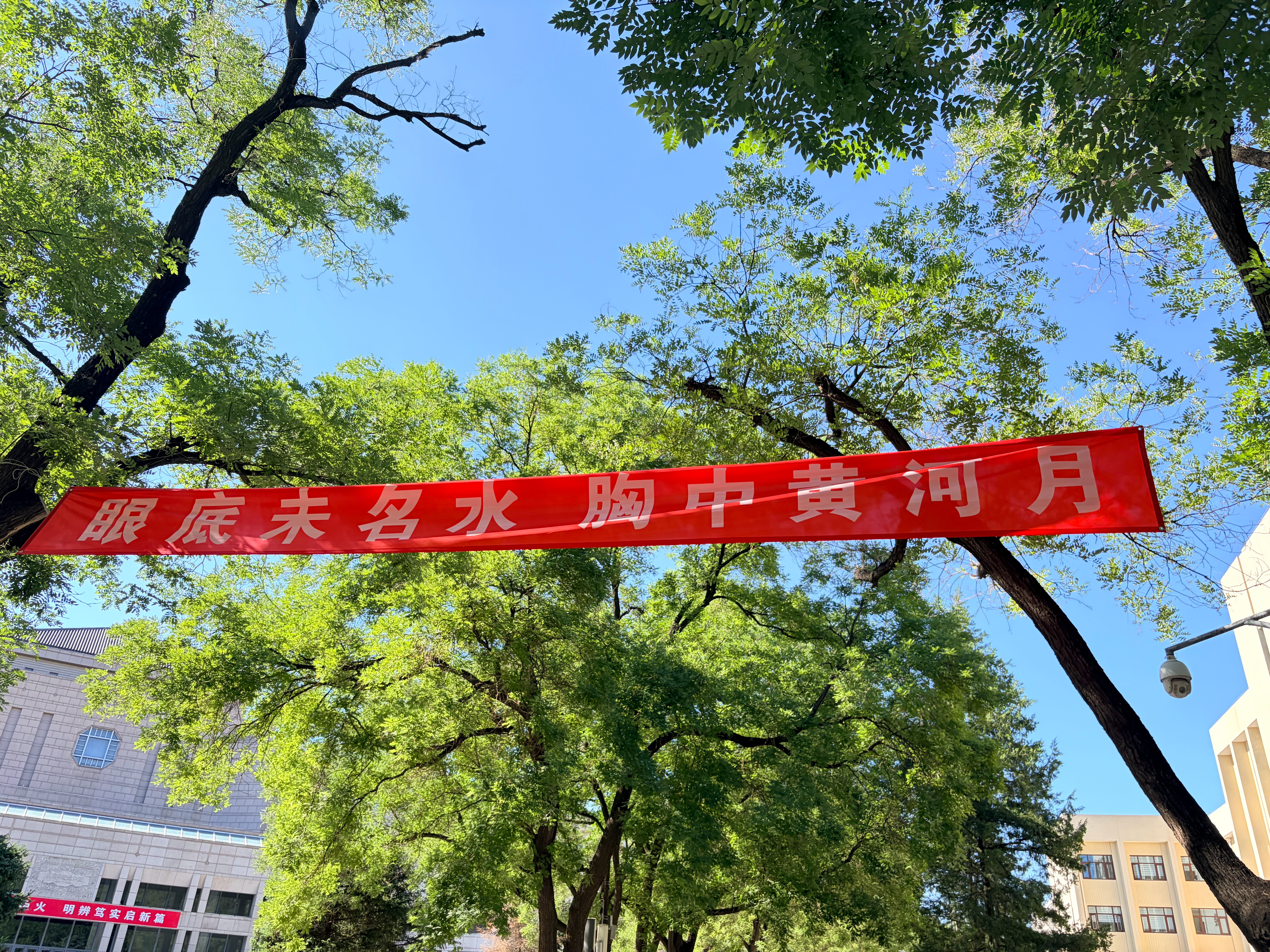 好巧，像说给兰州人听的一样。 