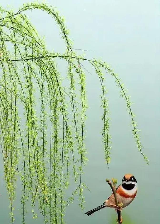 唐代诗人王勃在《滕王阁序》里写下一句特别豪气的词：“气凌彭泽之樽”。这句其实就是