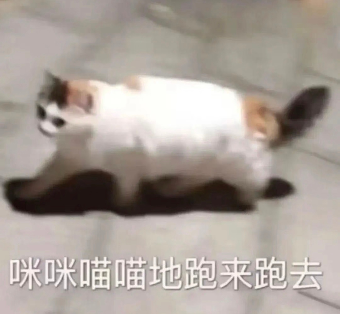 哪里有好东西我就这样 