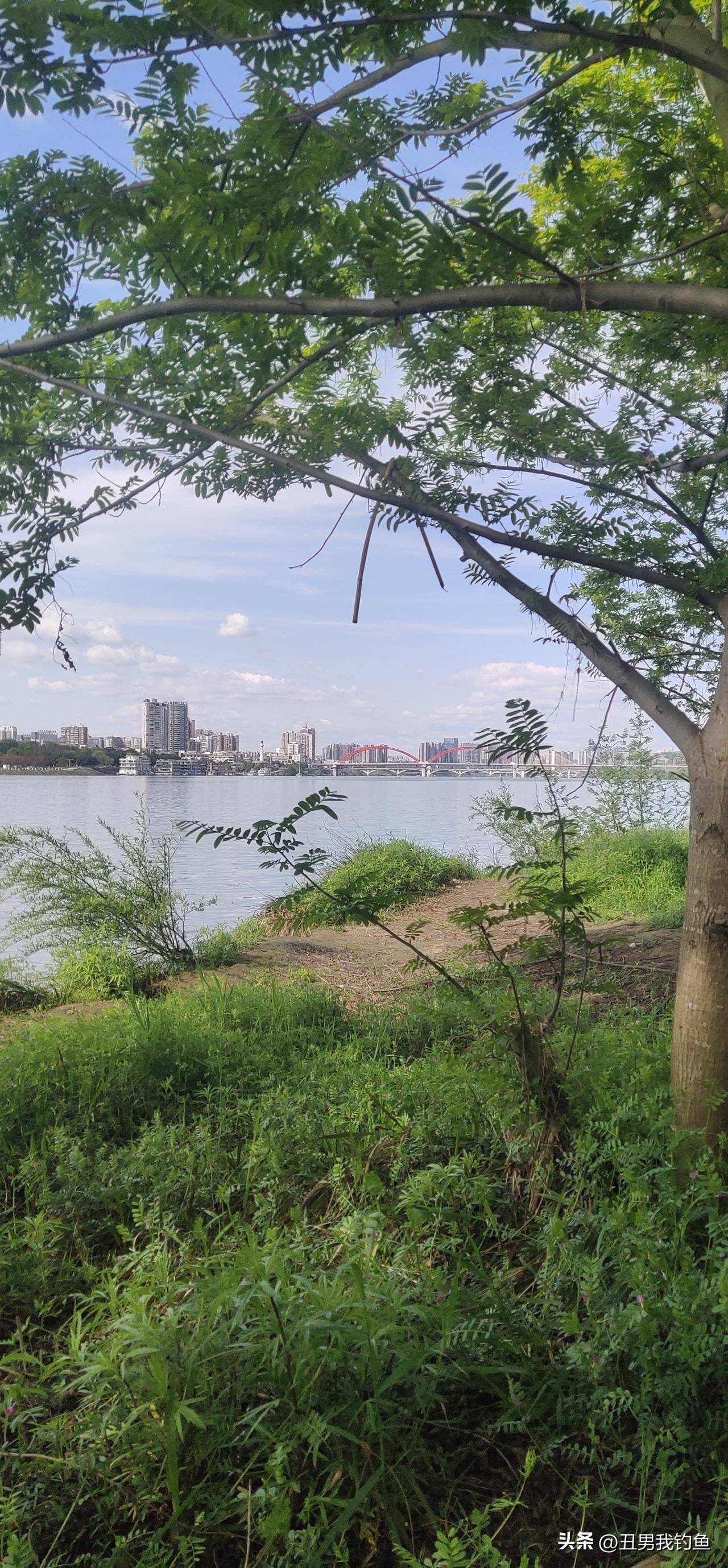 现在是禁鱼期，想钓鱼是没门儿了，只能到江边吹吹风。长江禁渔是为保护水生生物，从2