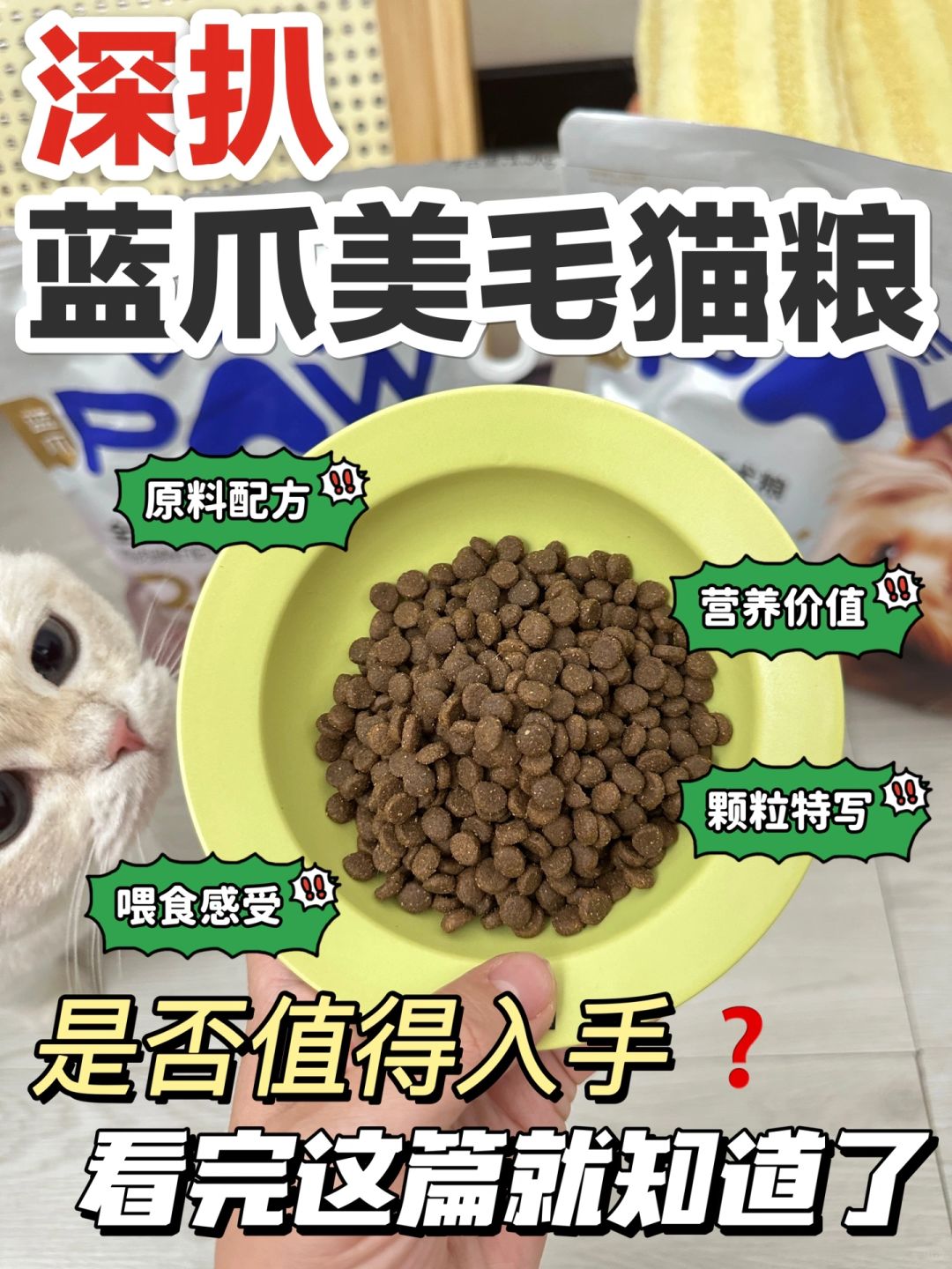 猫粮测评！看完再买！说点大实话！