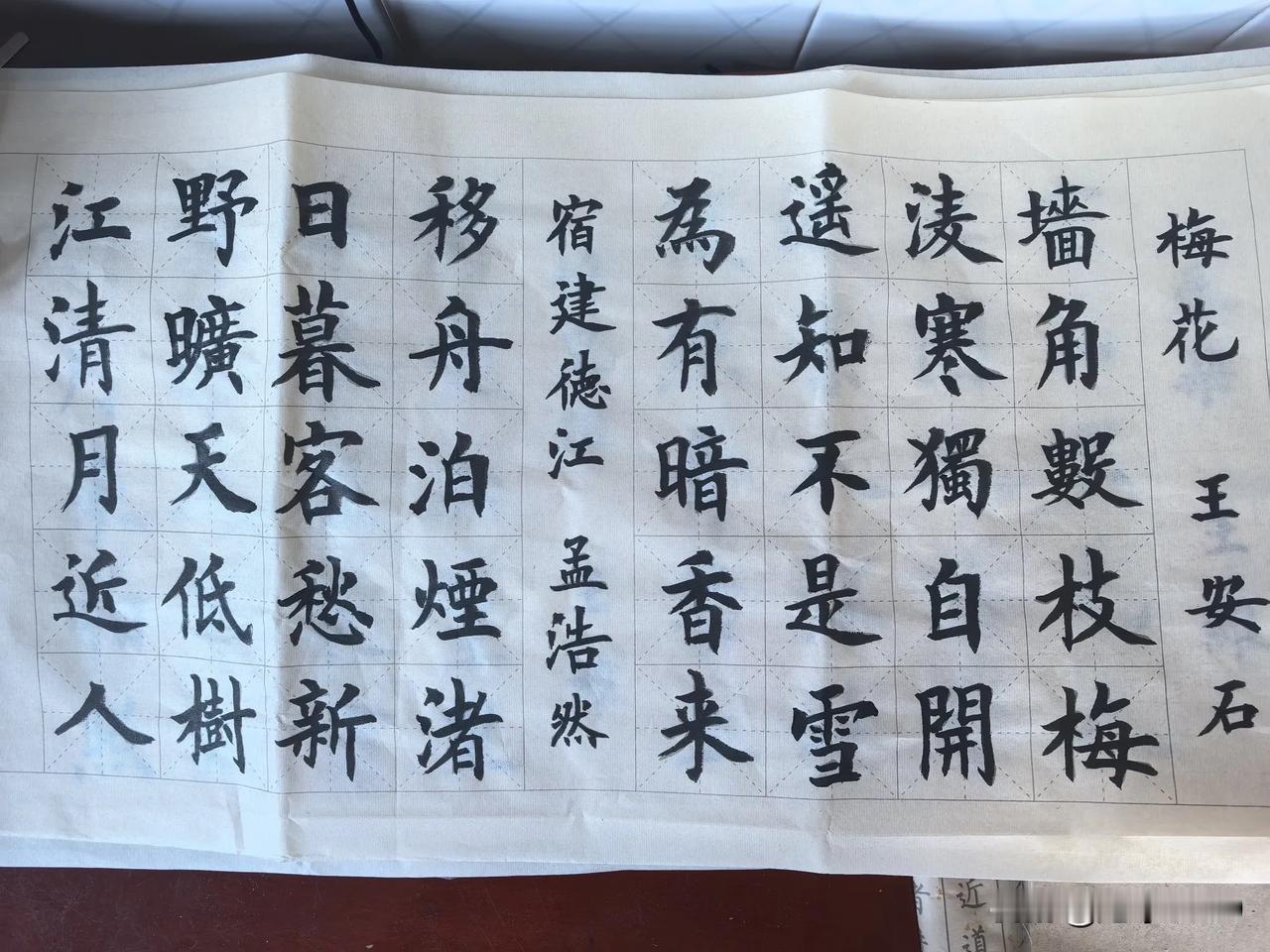 诗意在笔下，坚持来临摹。

临摹诗歌，妙不可言。临摹王安石的《梅花》时感触更深。