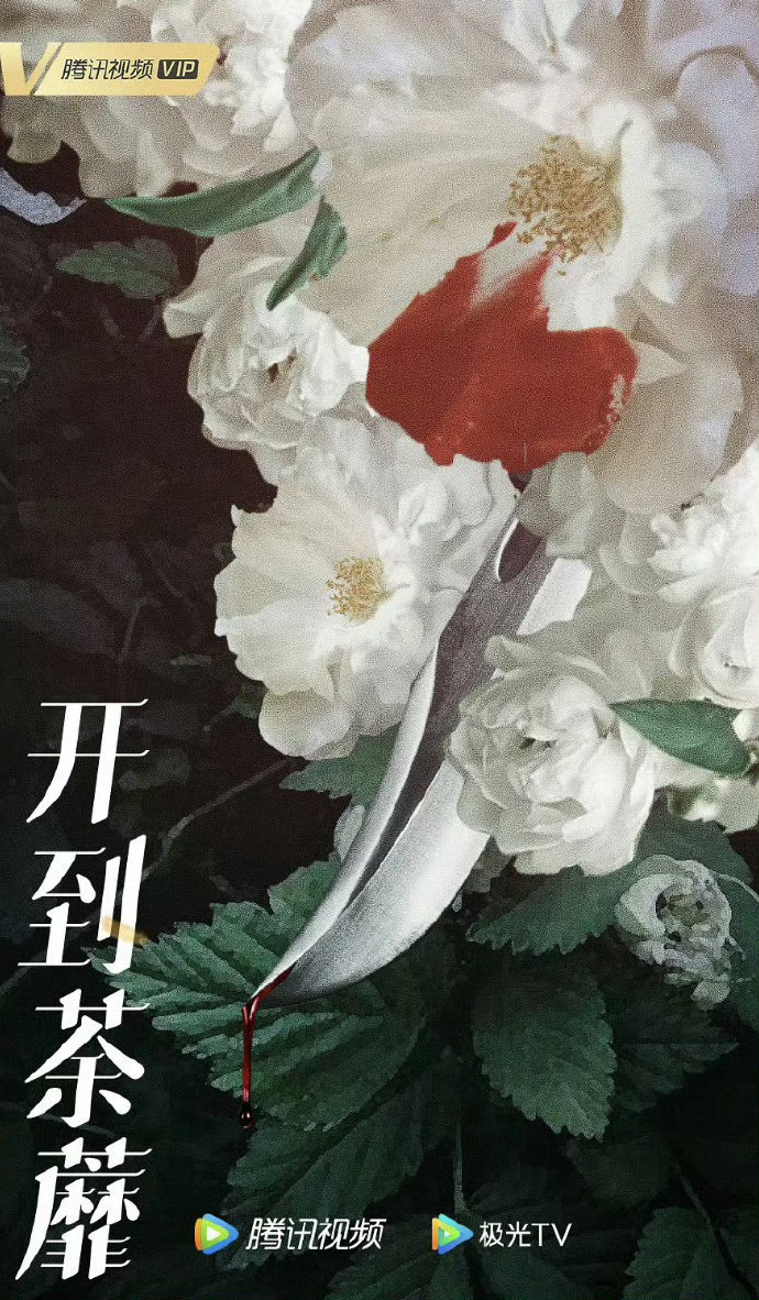 开到荼蘼电视剧开到荼蘼开通官微了，粉丝涨得好快，已经2.7w啦，一起燥候正式开播