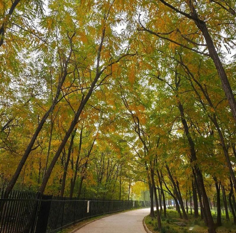 对人宽容，如春风化雨；对己通透，似明月照心田……        