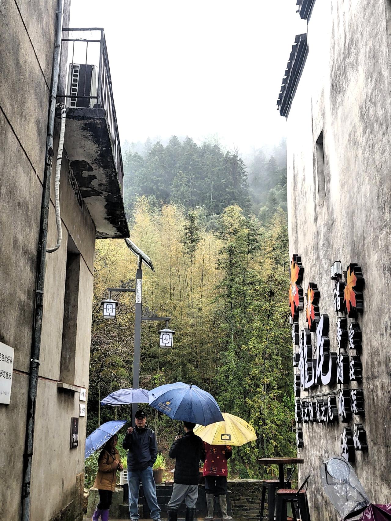 婺源逛村落继续，从上坦村出来，我们去了龙尾村，龙尾村依旧是徽派建筑，司机带我们穿