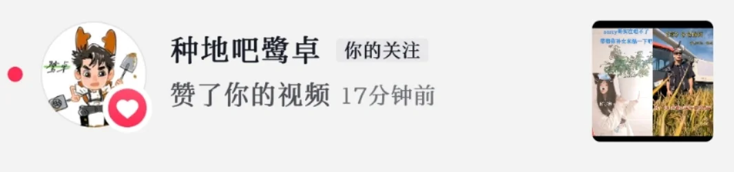 鹭卓批作业版~没唱歌就抱着孙女展示了一下