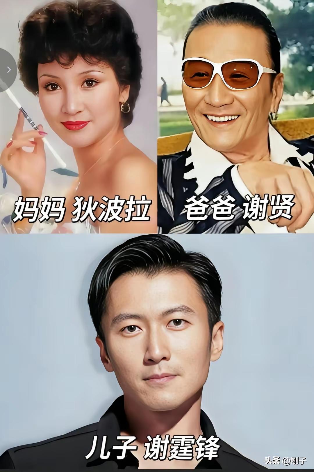 谢霆锋的妈妈狄波拉真的特别漂亮 
车晓的妈妈王丽云五官真的特别的明艳
陈飞宇的妈