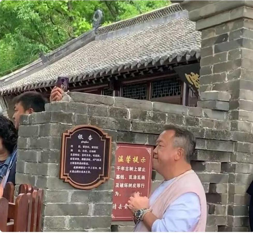 曾志伟现身大孤山祈福，摸千年古树求强身延寿，自曝身体越来越差 