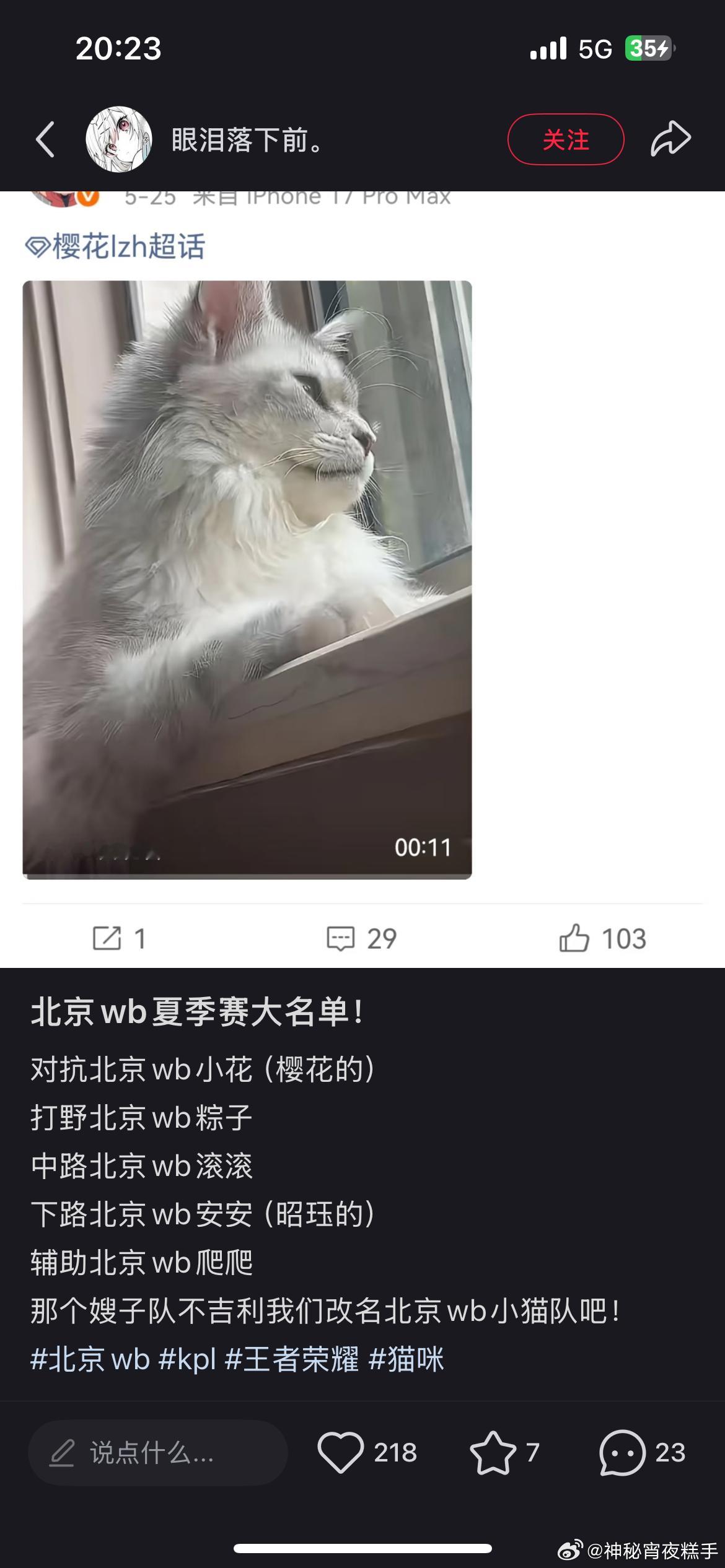 这真有点萌吧