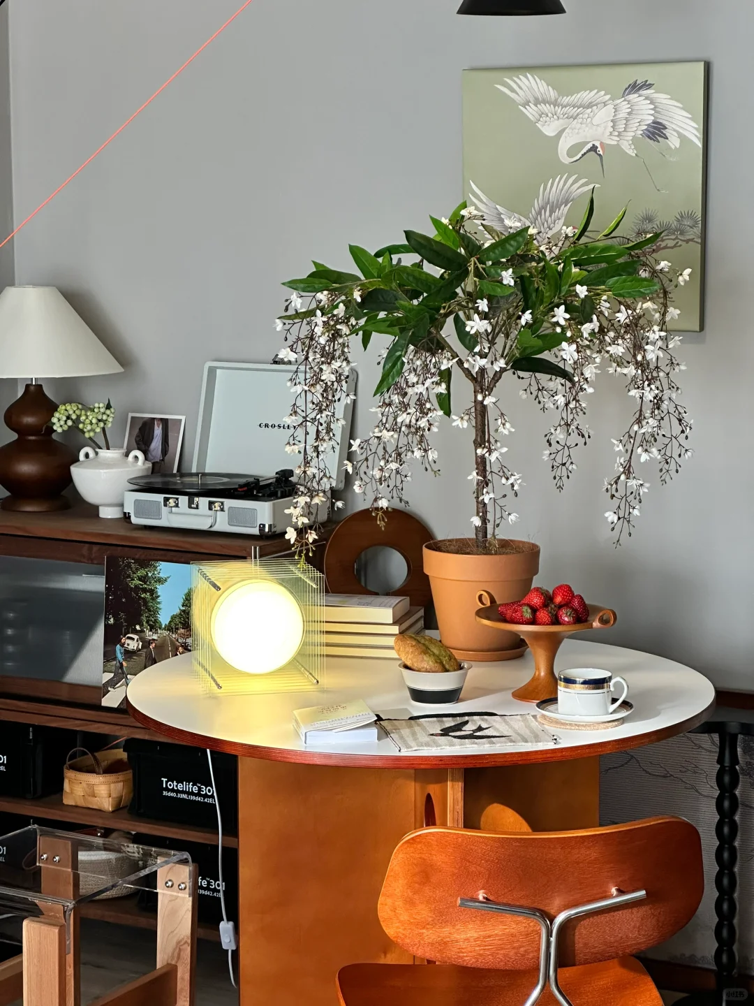 要什么软装啊！都不如摆上一棵垂丝茉莉