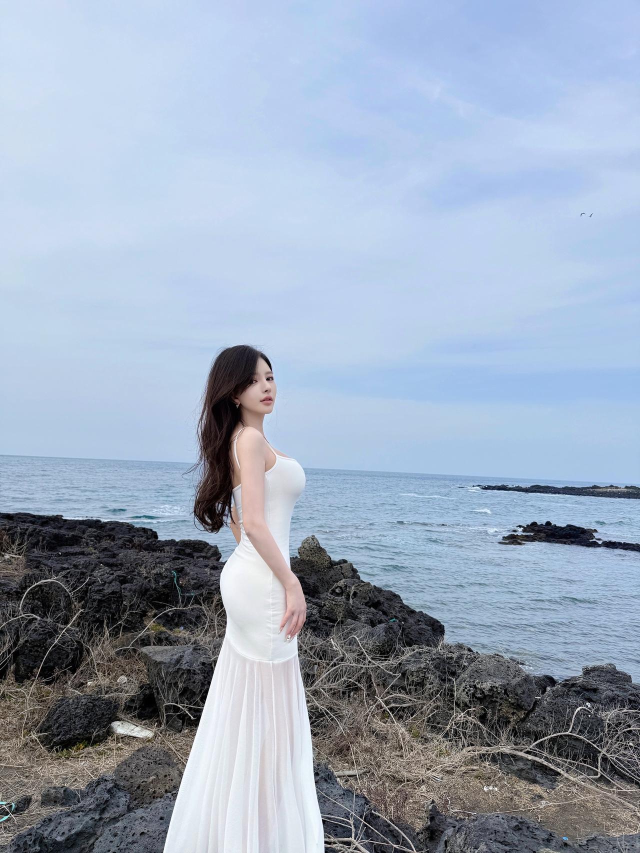 自由的鸟 爱上远方的困扰