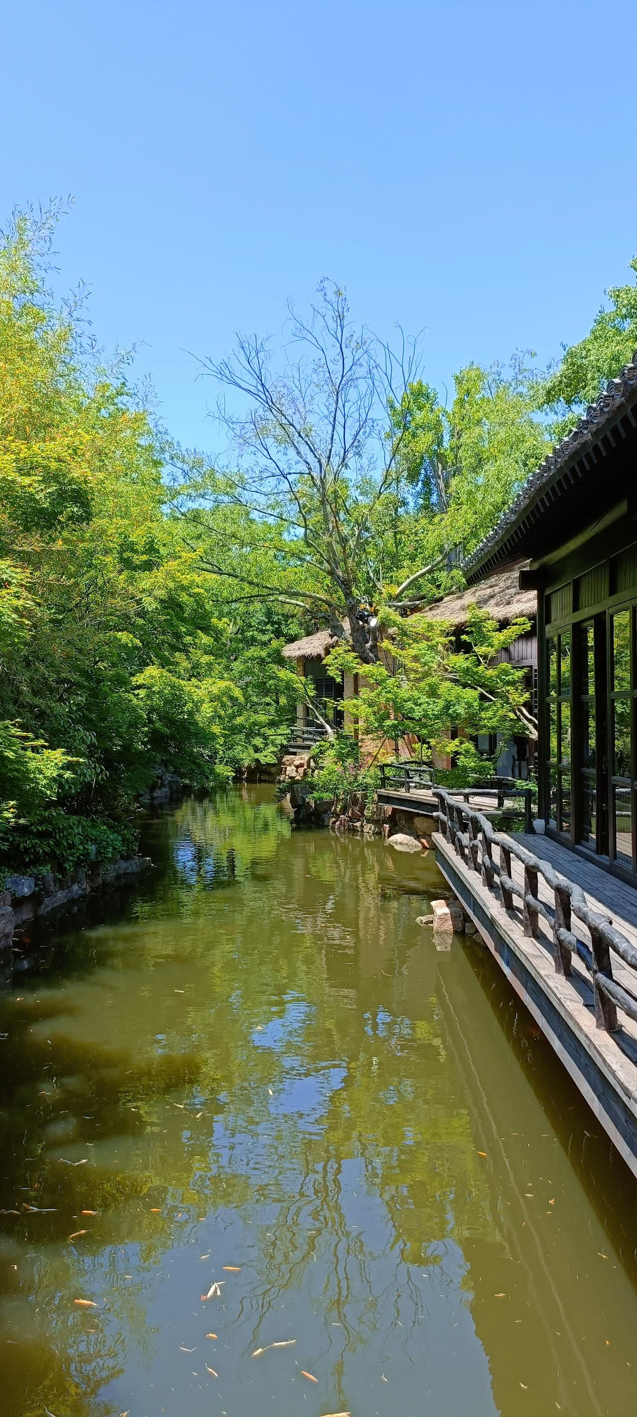 静谧的日式庭院，绿意盎然，小桥流水，仿佛置身世外桃源。🍃🏞️
上联:绿树掩映