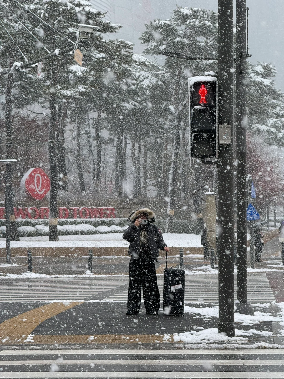 🇰🇷今年首尔初雪见识到了❄️密密麻麻！！！