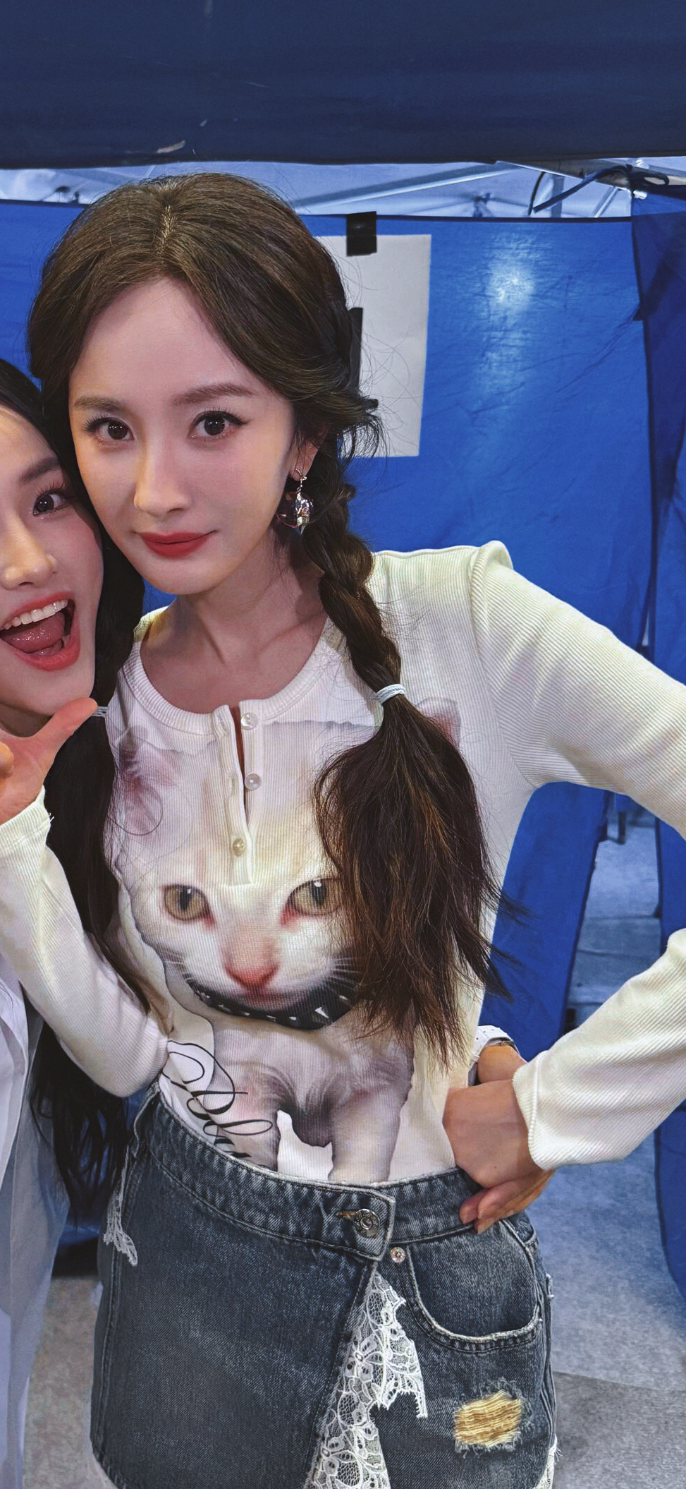 猫猫教和狗狗教的世子之争我们猫猫教因为有杨米 感觉已经稳了[喵喵] ​​​