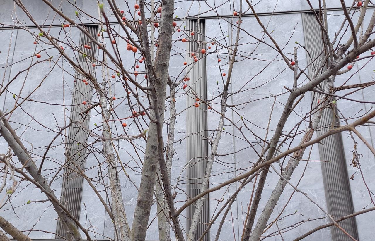 在高速上，前车70码，你要是跟着跑，保持安全距离也会出事，变道后如果不能快速超过