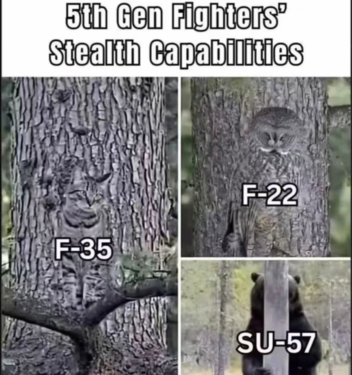 哈哈哈哈哈哈哈哈笑到不行 ​​​