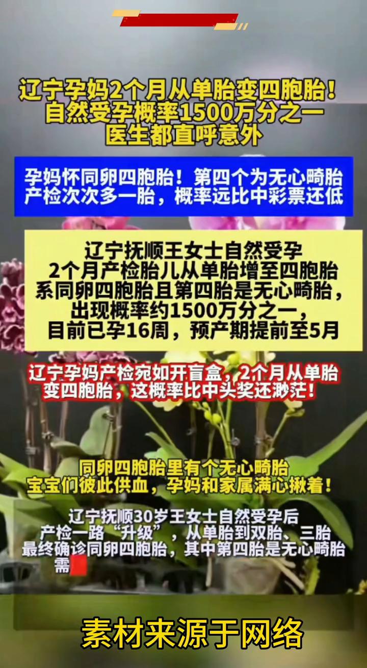 辽宁孕妈2个月从单胎变四胞胎，自然受孕概率1500万分之一，医生都直呼意外。
孕