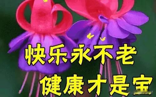 人到老年最值得炫耀的是什么?
首发原创/刘忠学
感谢邀请！
人到老年最值得炫耀的