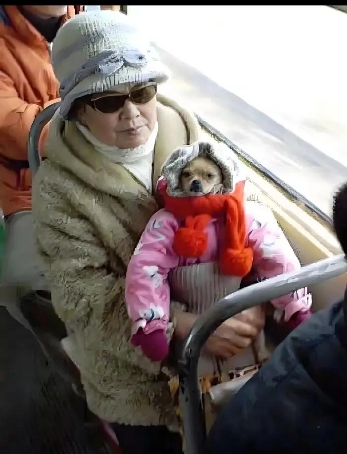 遇到这样的主人，这狗子真是三生有幸。[捂脸]