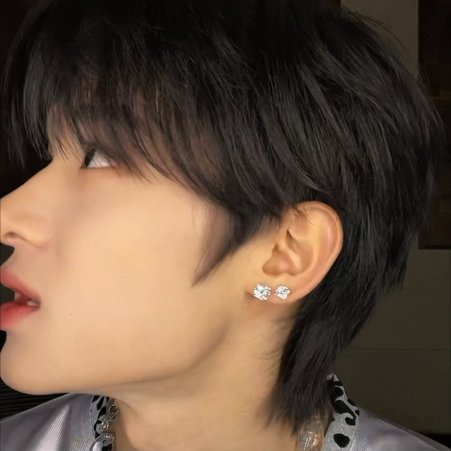 小狗就这样