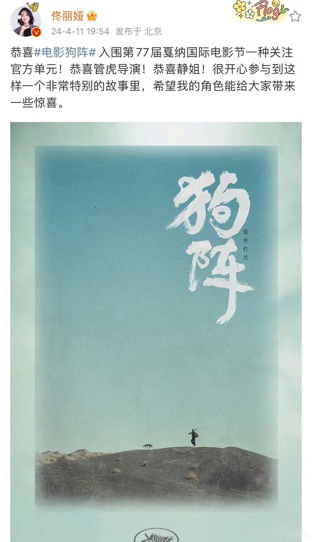 #佟丽娅新片狗阵入围戛纳国际电影节#佟丽娅姐姐真的太厉害了，这次入围国际电影节真