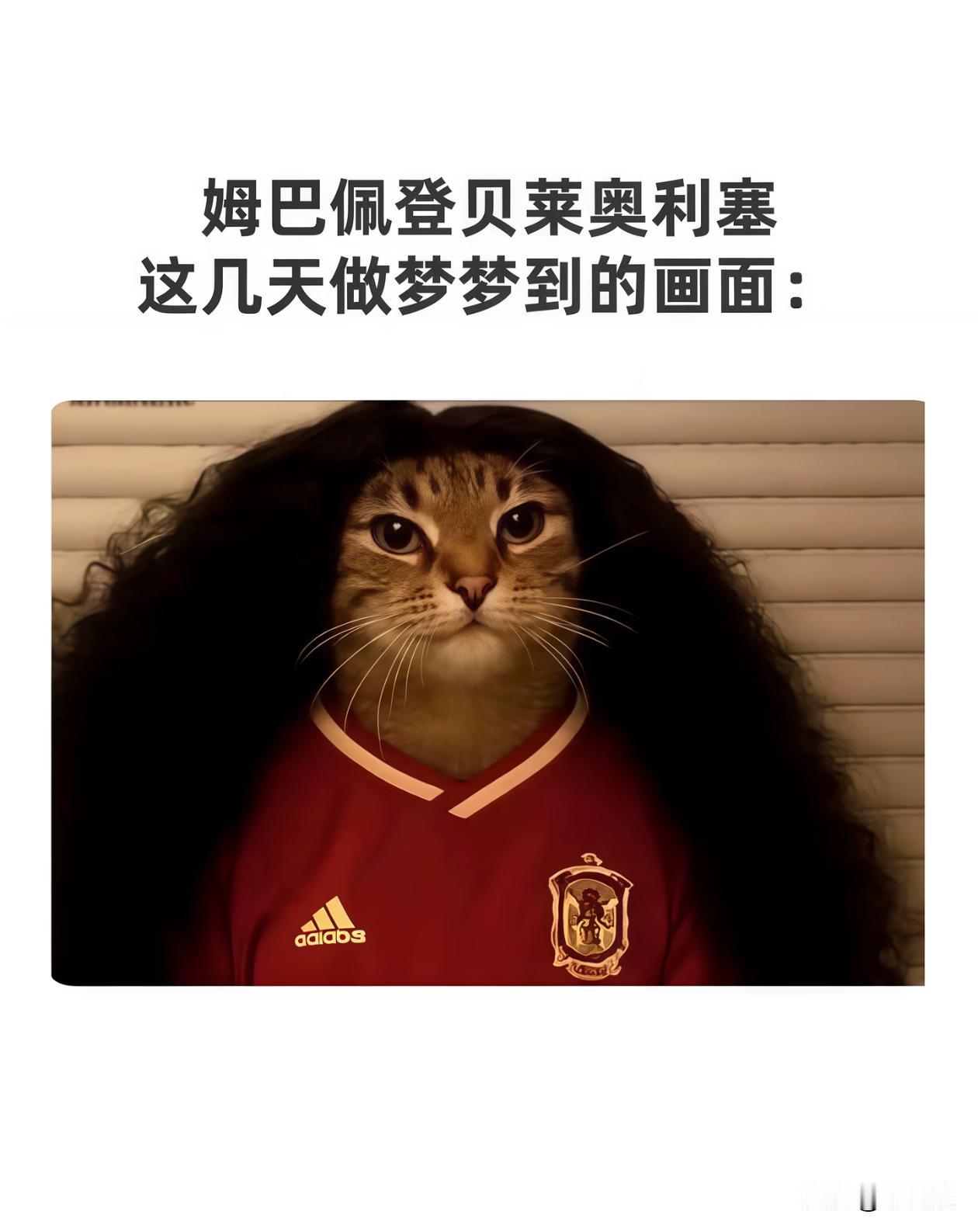 这算是法国锋线挥之不去的噩梦吧