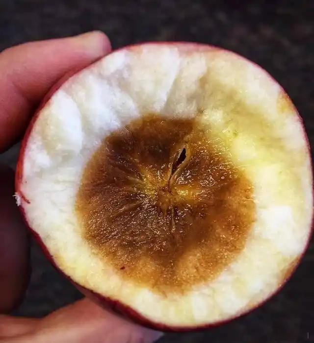 一个外表光鲜亮丽的苹果，里面却已经腐烂不堪，一句话三个字：烂透了。  ​​​