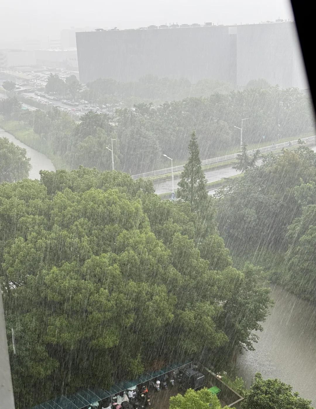 上海下雨光挑上下班时间是吧？？？
上午已经很狼狈了
下午都晴了
现在又给我下大了