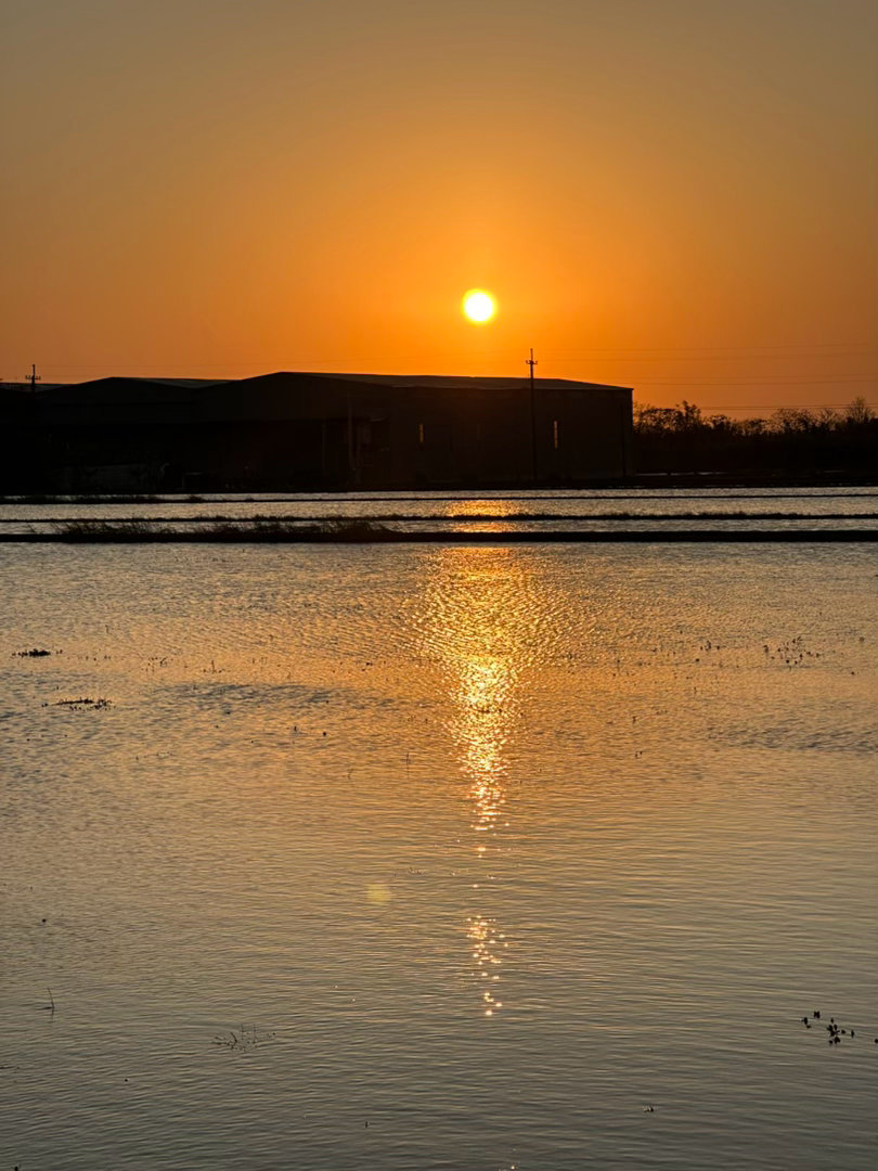阳光信用  阳光信用 每日一善 感谢意味着心灵丰富。知道感谢的人是充满喜悦的，幸