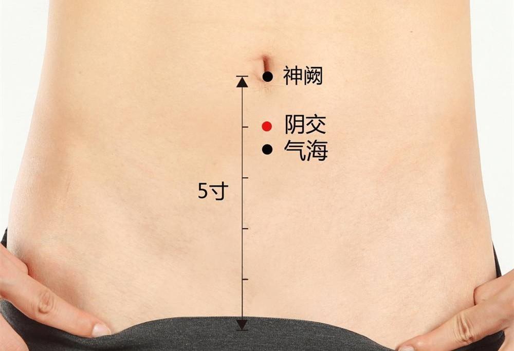 111穴气海穴
 
一、位置
 
- 在下腹部，前正中线上
- 脐中下 1.5 