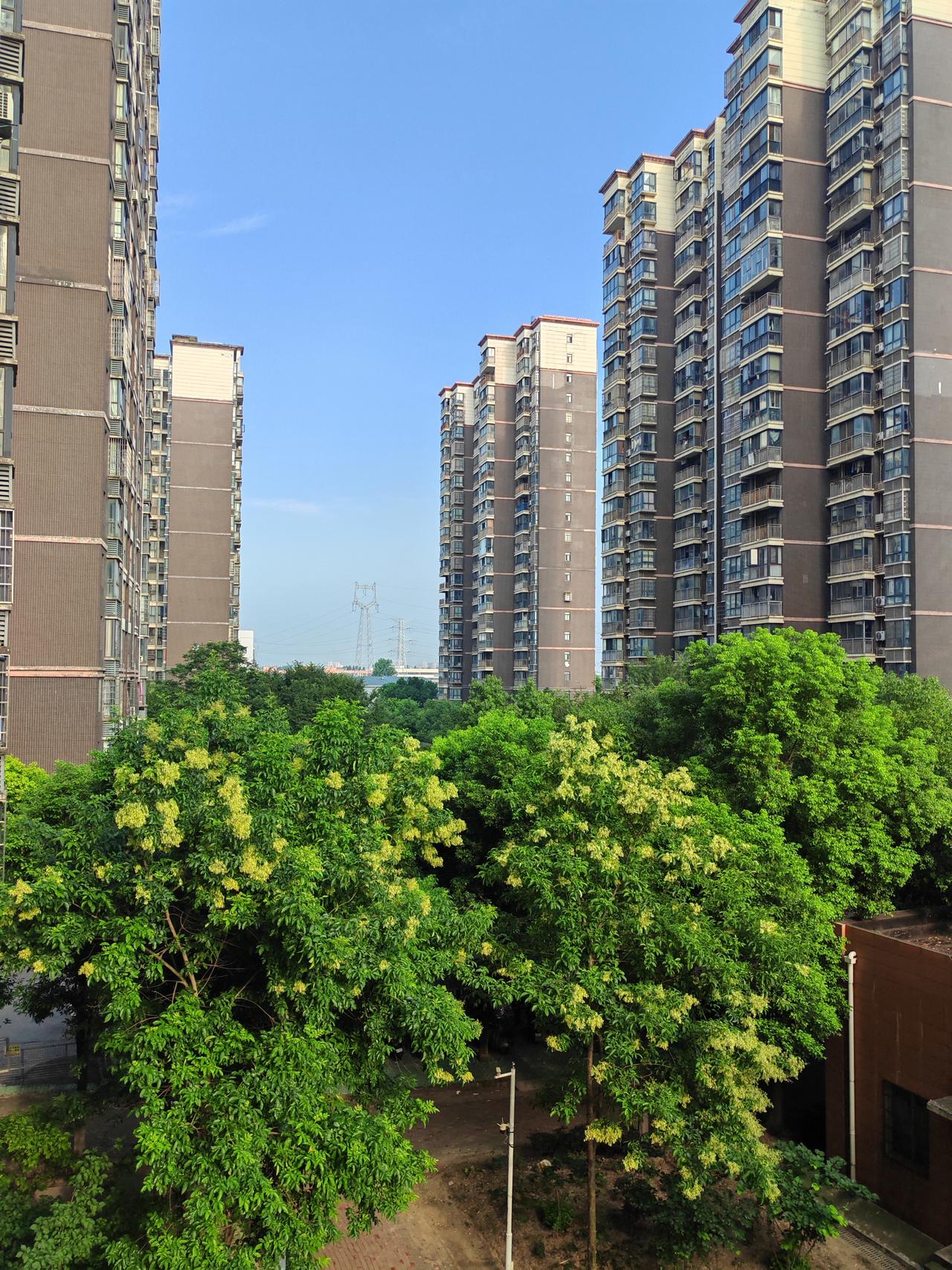 7月14日，武汉晴天多云，局部有雾，高温橙色预警，最高气温36度，最低气温28度