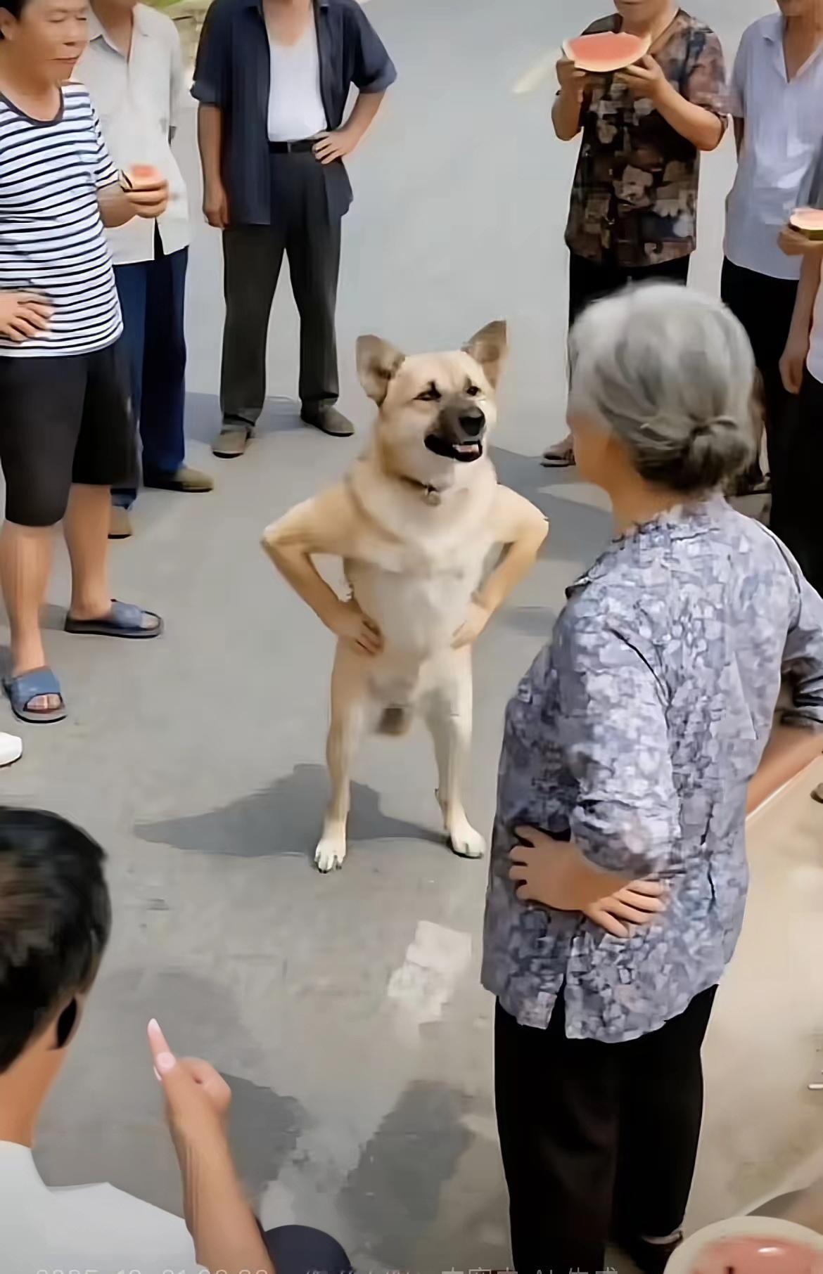 隔壁老王和老张是同年退休的邻居。
老王对老张说他是个什么教授，还与电视上的军事专