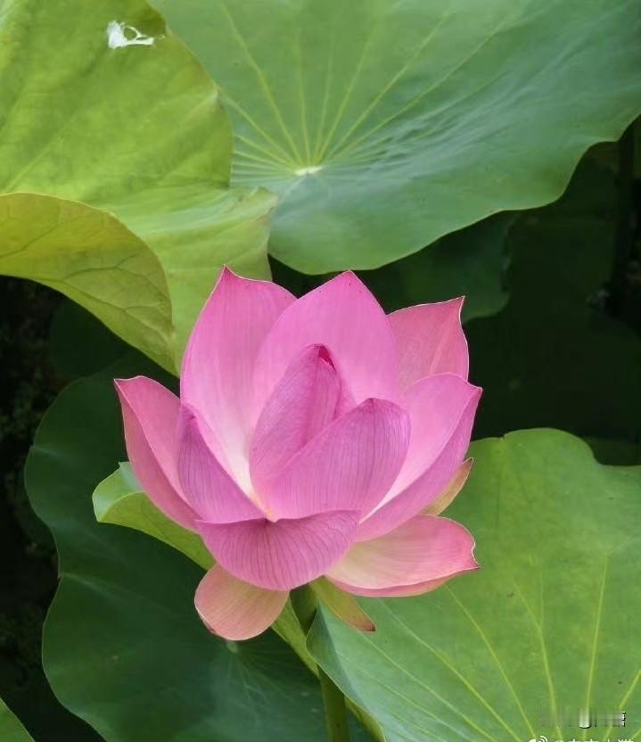 人生三大重要关系:

父母于自己的关系，即血缘关系，且为不可更改性。

伴侣于自